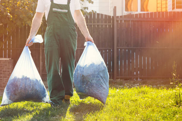 Best Same-Day Junk Removal  in Romeo, MI